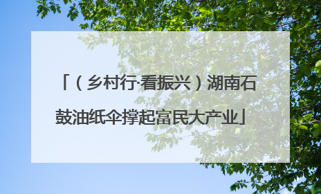 （乡村行·看振兴）湖南石鼓油纸伞撑起富民大产业