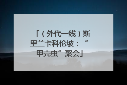 （外代一线）斯里兰卡科伦坡：“甲壳虫”聚会