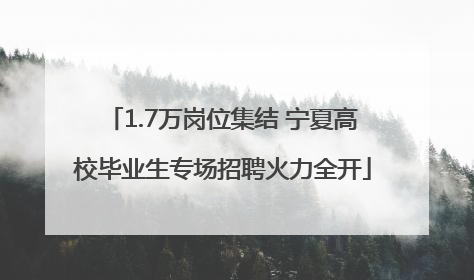 1.7万岗位集结 宁夏高校毕业生专场招聘火力全开