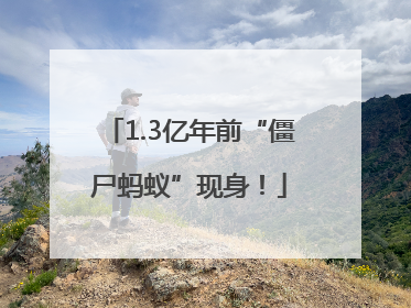 1.3亿年前“僵尸蚂蚁”现身！