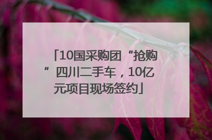 10国采购团“抢购”四川二手车，10亿元项目现场签约