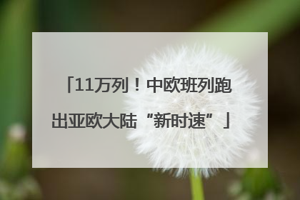11万列！中欧班列跑出亚欧大陆“新时速”