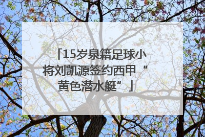 15岁泉籍足球小将刘凯源签约西甲“黄色潜水艇”
