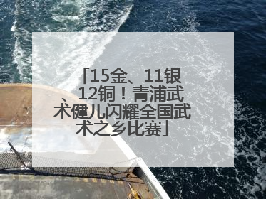 15金、11银、12铜！青浦武术健儿闪耀全国武术之乡比赛
