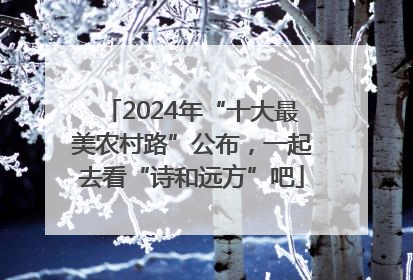 2024年“十大最美农村路”公布，一起去看“诗和远方”吧