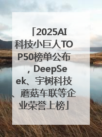 2025AI科技小巨人TOP50榜单公布，DeepSeek、宇树科技、蘑菇车联等企业荣誉上榜
