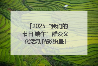 2025“我们的节日·端午”群众文化活动精彩纷呈
