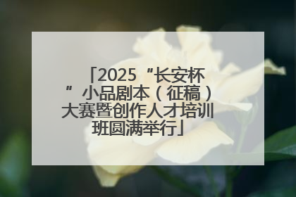 2025“长安杯”小品剧本（征稿）大赛暨创作人才培训班圆满举行