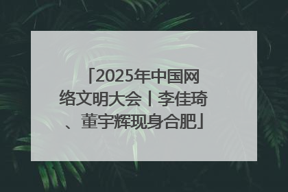 2025年中国网络文明大会丨李佳琦、董宇辉现身合肥