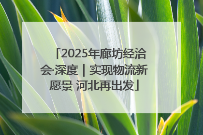 2025年廊坊经洽会·深度｜实现物流新愿景 河北再出发