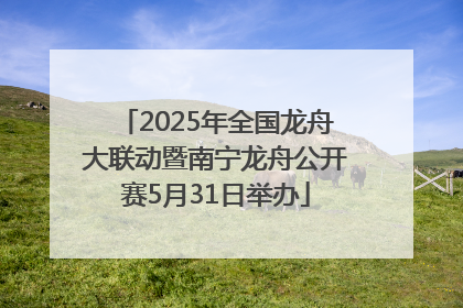 2025年全国龙舟大联动暨南宁龙舟公开赛5月31日举办