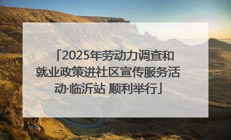 2025年劳动力调查和就业政策进社区宣传服务活动·临沂站 顺利举行