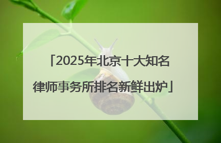 2025年北京十大知名律师事务所排名新鲜出炉