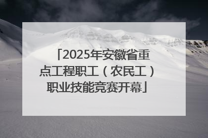 2025年安徽省重点工程职工（农民工）职业技能竞赛开幕