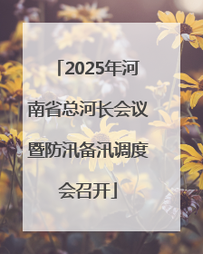 2025年河南省总河长会议暨防汛备汛调度会召开