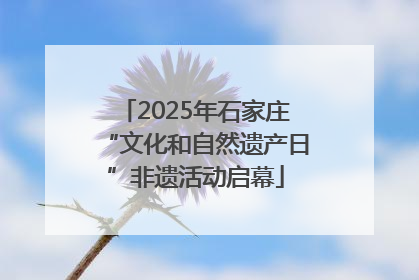 2025年石家庄“文化和自然遗产日”非遗活动启幕