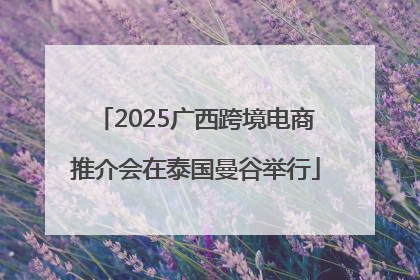 2025广西跨境电商推介会在泰国曼谷举行