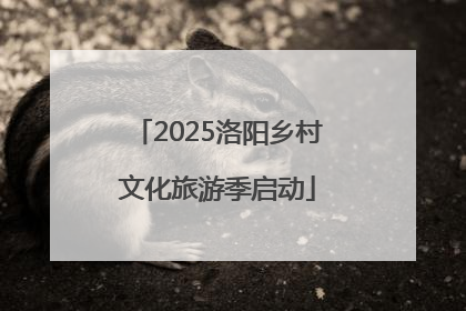 2025洛阳乡村文化旅游季启动