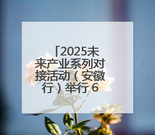2025未来产业系列对接活动（安徽行）举行 6个重点项目现场签约