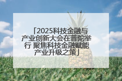 2025科技金融与产业创新大会在普陀举行 聚焦科技金融赋能产业升级之策