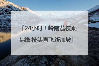 24小时！岭南荔枝乘专线 枝头直飞新加坡