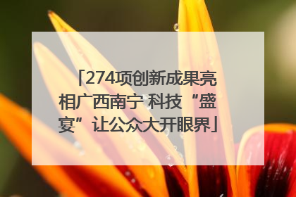 274项创新成果亮相广西南宁 科技“盛宴”让公众大开眼界