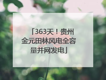 363天！贵州金元田林风电全容量并网发电