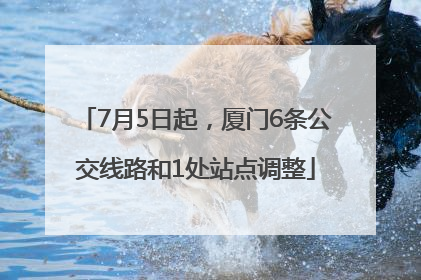 7月5日起，厦门6条公交线路和1处站点调整