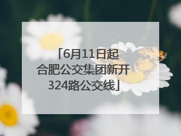 6月11日起 合肥公交集团新开324路公交线