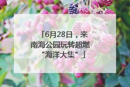 6月28日，来南海公园玩转超燃 “海洋大集”
