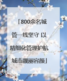800余名城管一线坚守 以精细化管理护航城市靓丽容颜