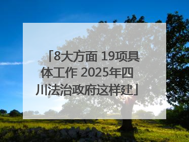 8大方面 19项具体工作 2025年四川法治政府这样建
