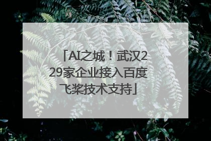 AI之城！武汉229家企业接入百度飞桨技术支持