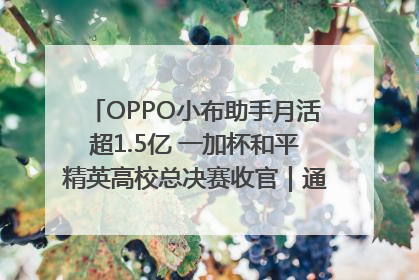 OPPO小布助手月活超1.5亿 一加杯和平精英高校总决赛收官｜通讯Plus·早报