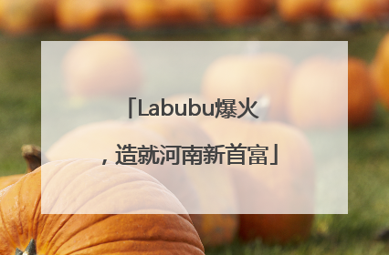 Labubu爆火，造就河南新首富