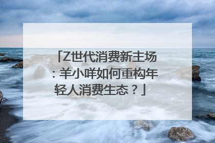 Z世代消费新主场：羊小咩如何重构年轻人消费生态？